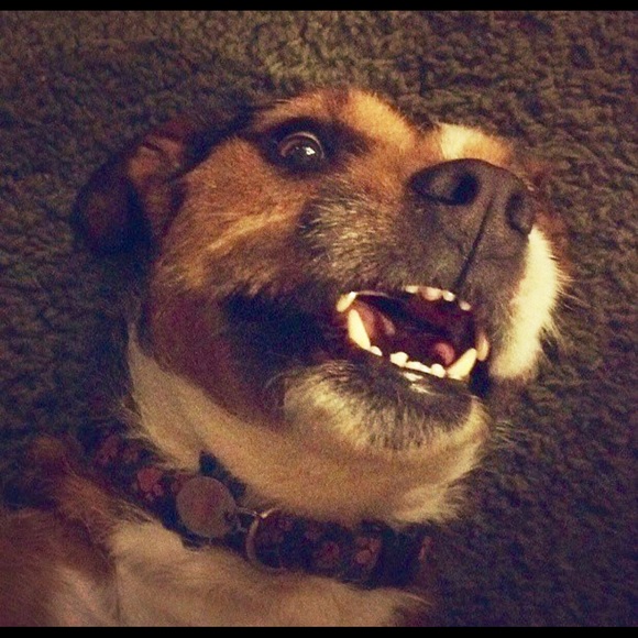 EUC Ginger NerdGirl, New-2-Poshmark. Hi! - Picture 14 of 16